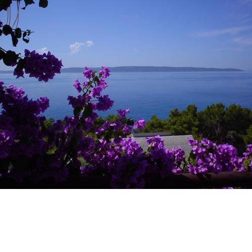 Apartment Rastici 11723d