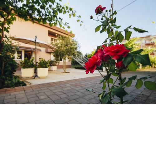 Apartment Relja