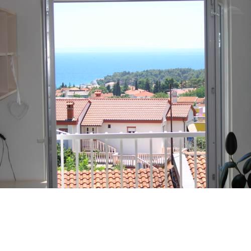 Apartment Rosa
