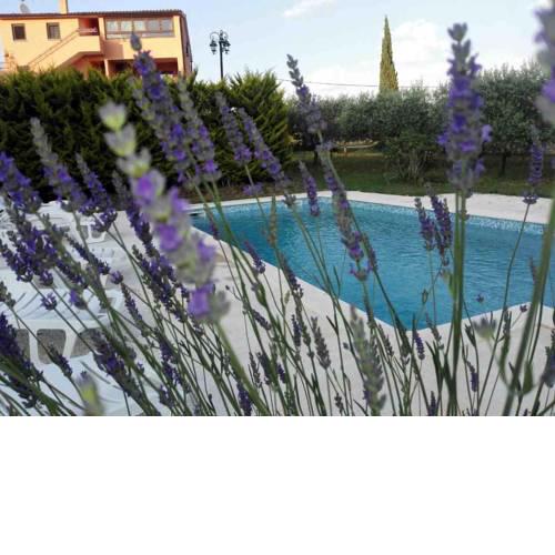 Apartment Rojnic