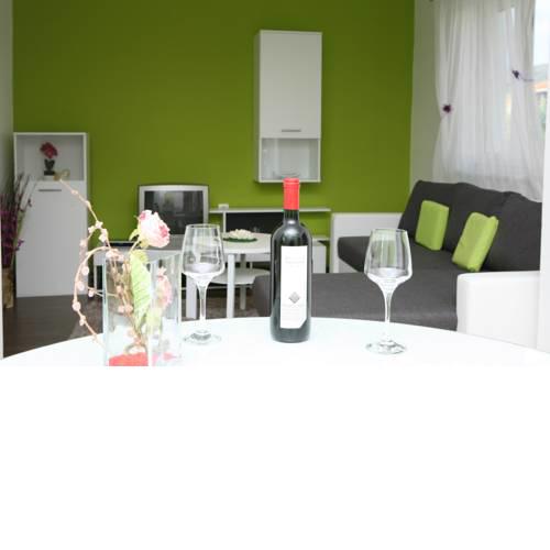 Apartment Roko