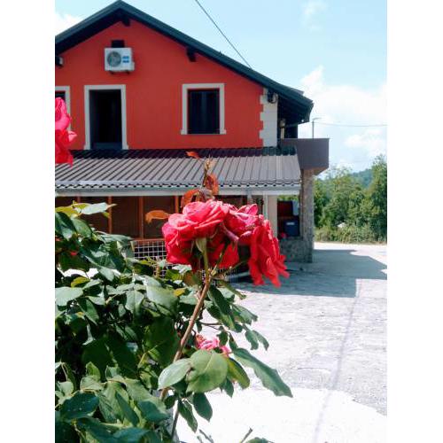 Apartment & Rooms Hazler