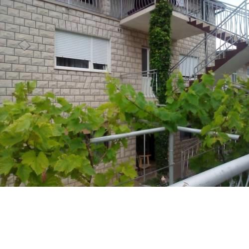 Apartment Rose