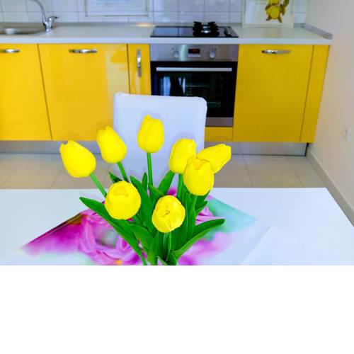 Apartment ROZA