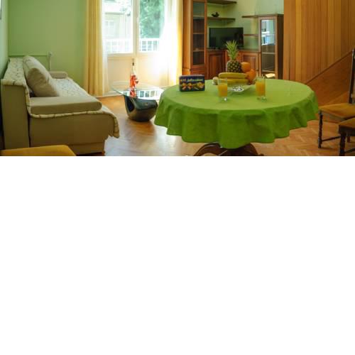 Duplex apartment in the center