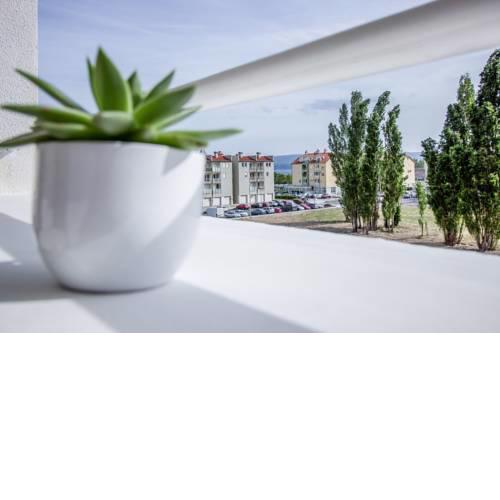 Apartment Silvana