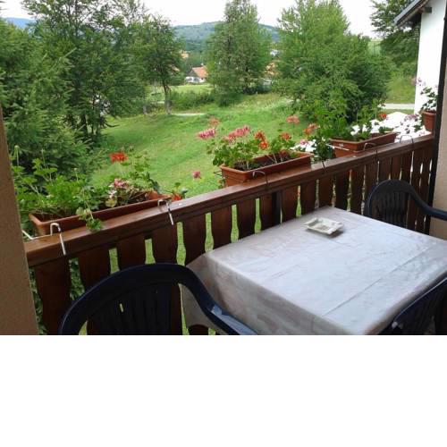 Apartment Smoljanac 14603a