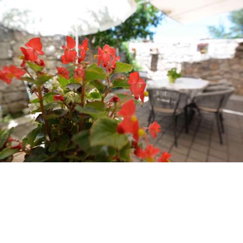Apartment Stari Murter