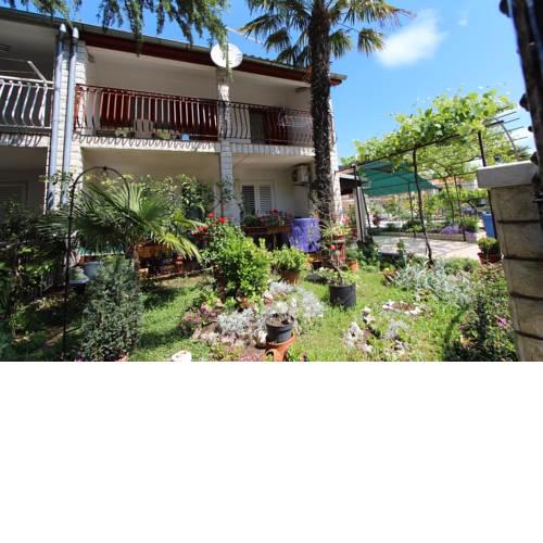Apartment Stipe