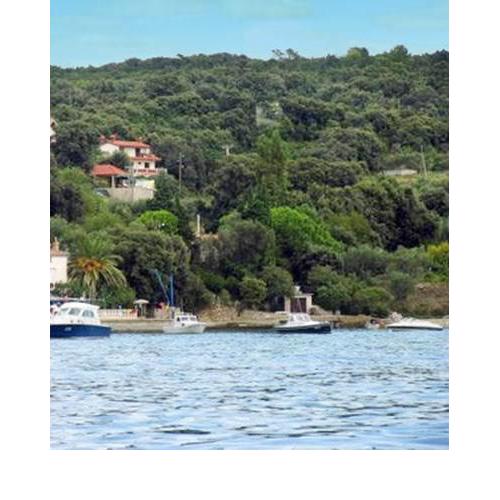 Apartment Supetarska Draga 5