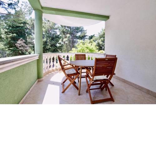 Apartment Sveti Filip i Jakov 14817b