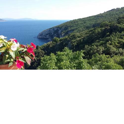 Apartment Vedran - Brsec Old Town