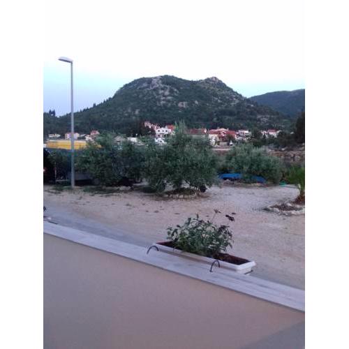 Apartment Venera
