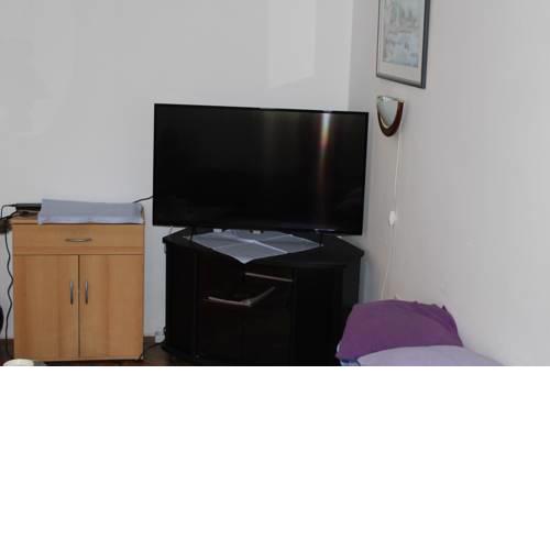 Apartment Vesna Flowers