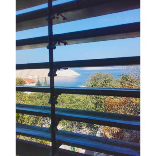 Apartment Vica
