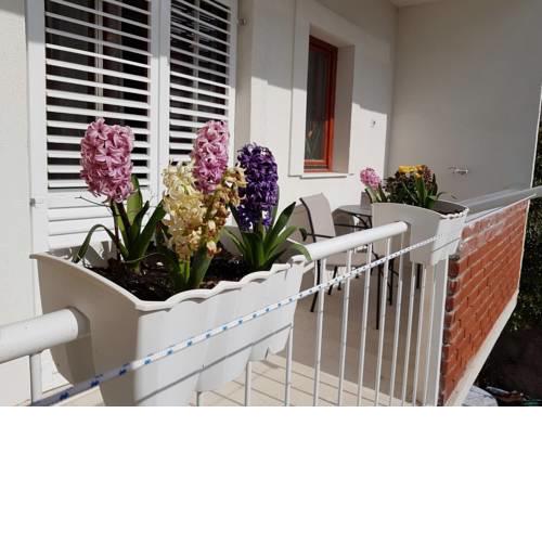 Apartment Vice mali