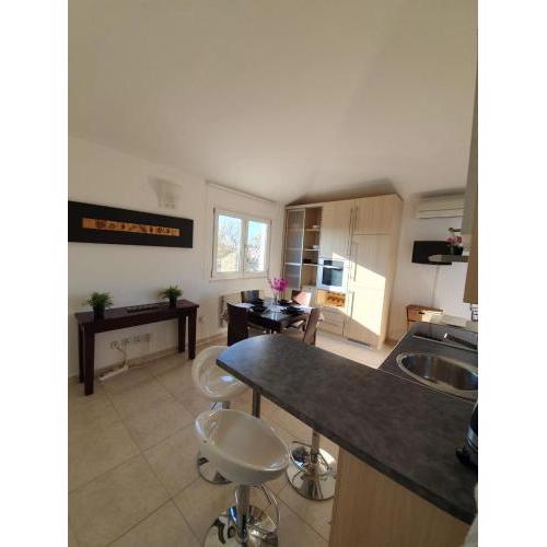 Apartment Vida