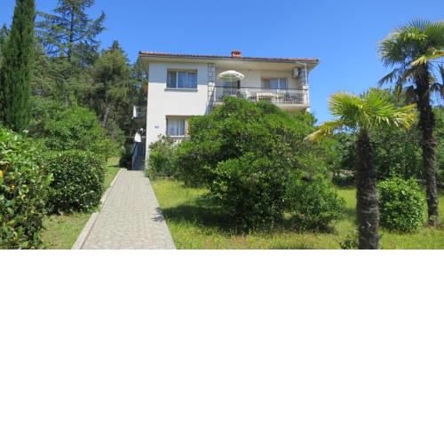 Apartment Vida