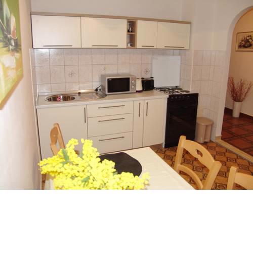 Apartment Viki