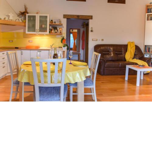 Apartment VILLA BRNETI & medicinal botanical garden