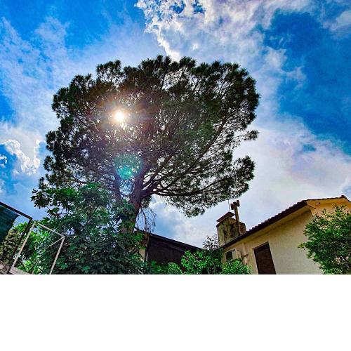 Apartment with terrace - Gaia - Opatija - Center