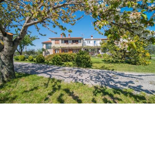 Apartment with Terrace in Filipana