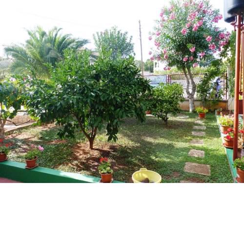 Apartment Zadar - Diklo 13242c