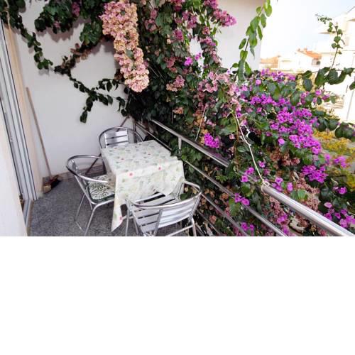 Apartment Zadar - Diklo 5880c