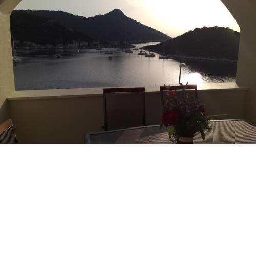 Apartment Zaklopatica