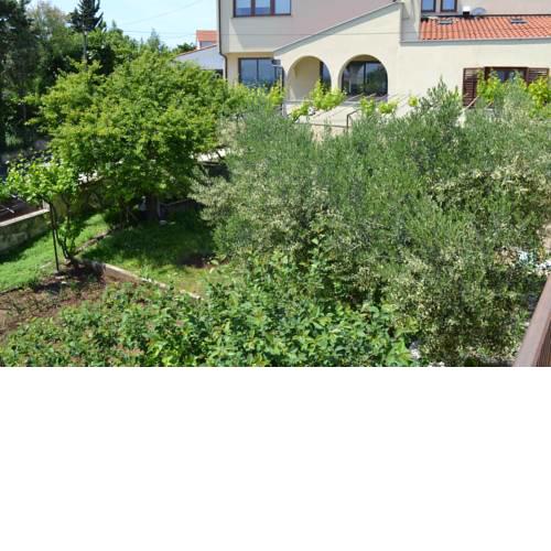 Apartment Zlata