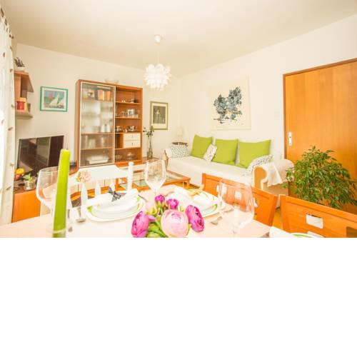 Apartment Zorka 719