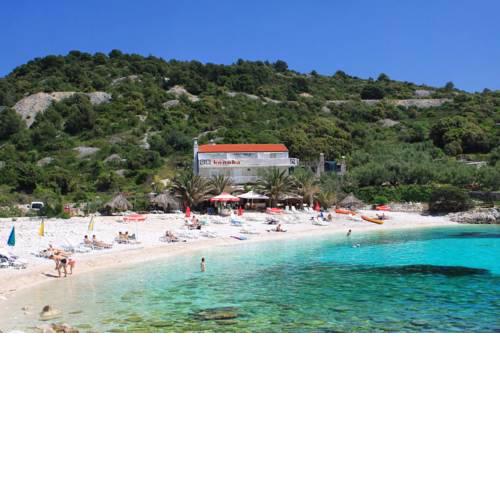 Apartments and rooms by the sea Hvar - 8785
