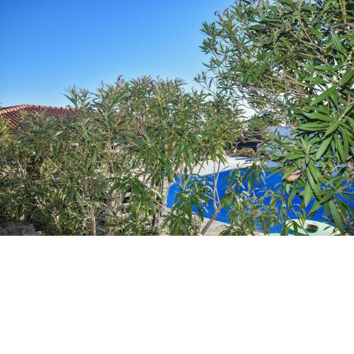 Apartments and Rooms Danitza
