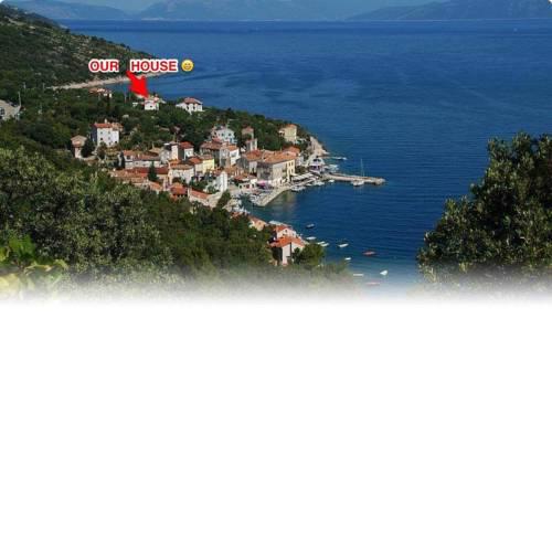 Apartments and rooms Griv