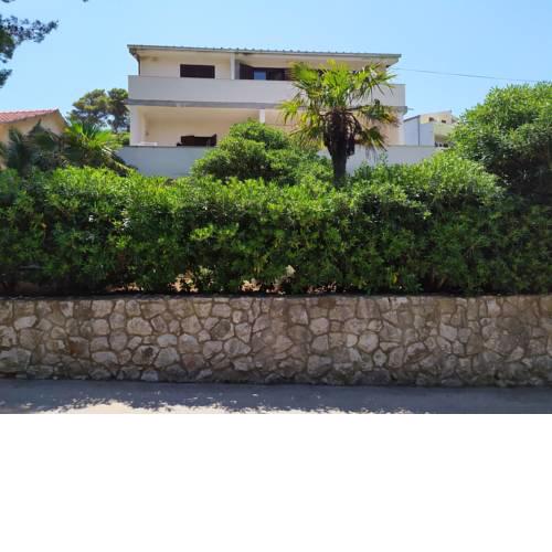 Apartments Djani