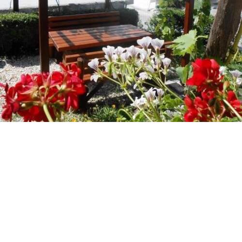 Apartments Anica
