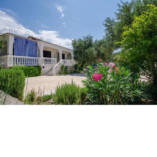 Apartments Anka