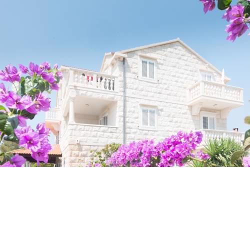 Apartments Barba Petra Dvori
