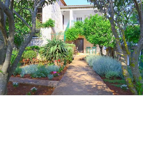 Apartments Basina