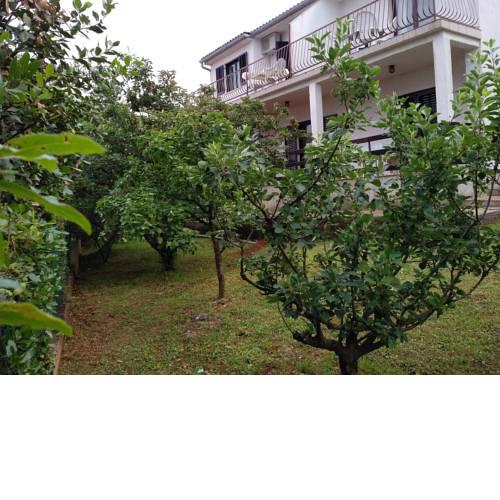 Apartments Beceic