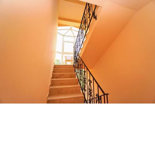 Apartments Branka