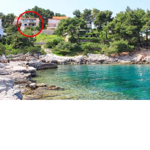 Apartments by the sea Basina, Hvar - 11817