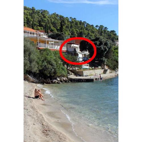 Apartments by the sea Brna, Korcula - 4425