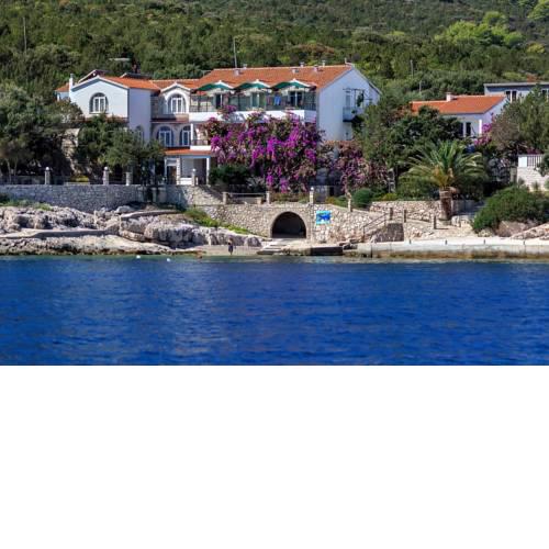 Apartments by the sea Cove Pokrivenik, Hvar - 10419