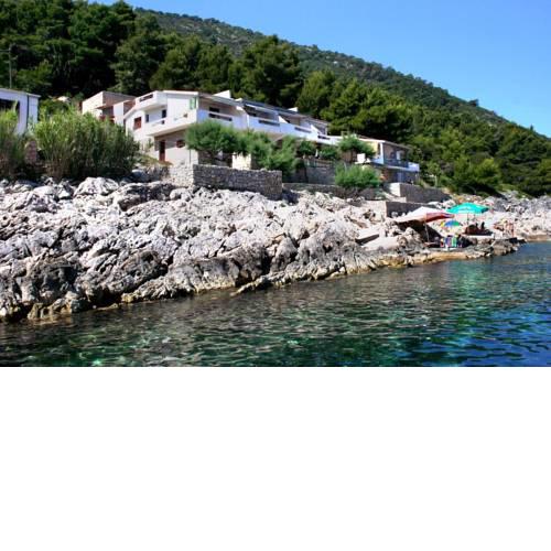 Apartments by the sea Cove Solotisa, Hvar - 5610