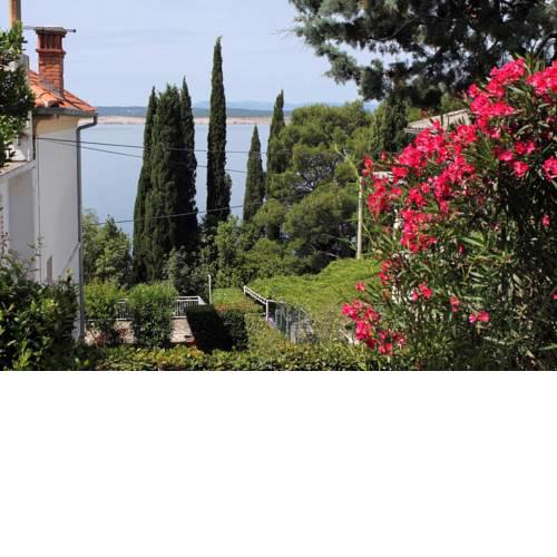 Apartments by the sea Dramalj, Crikvenica - 2387