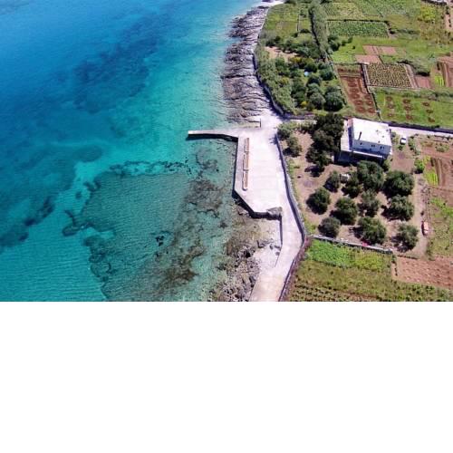 Apartments by the sea Lumbarda, Korcula - 4358