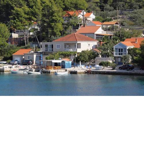 Apartments by the sea Lumbarda, Korcula - 4481