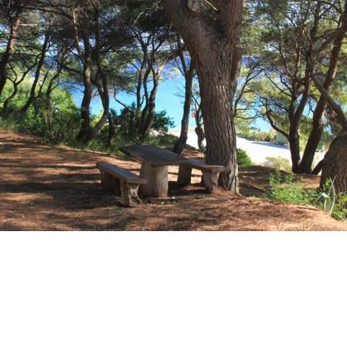Apartments by the sea Milna, Vis - 8490