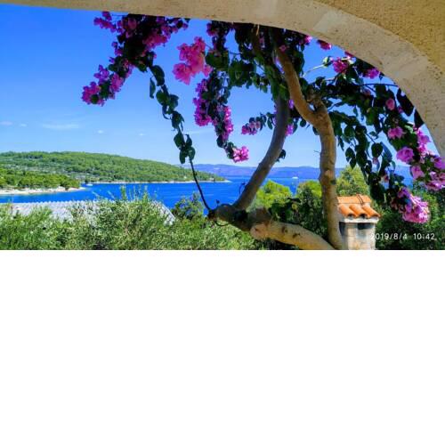 Apartments by the sea Necujam, Solta - 18664